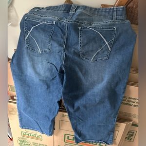 Lane Bryant Capri - Size 24